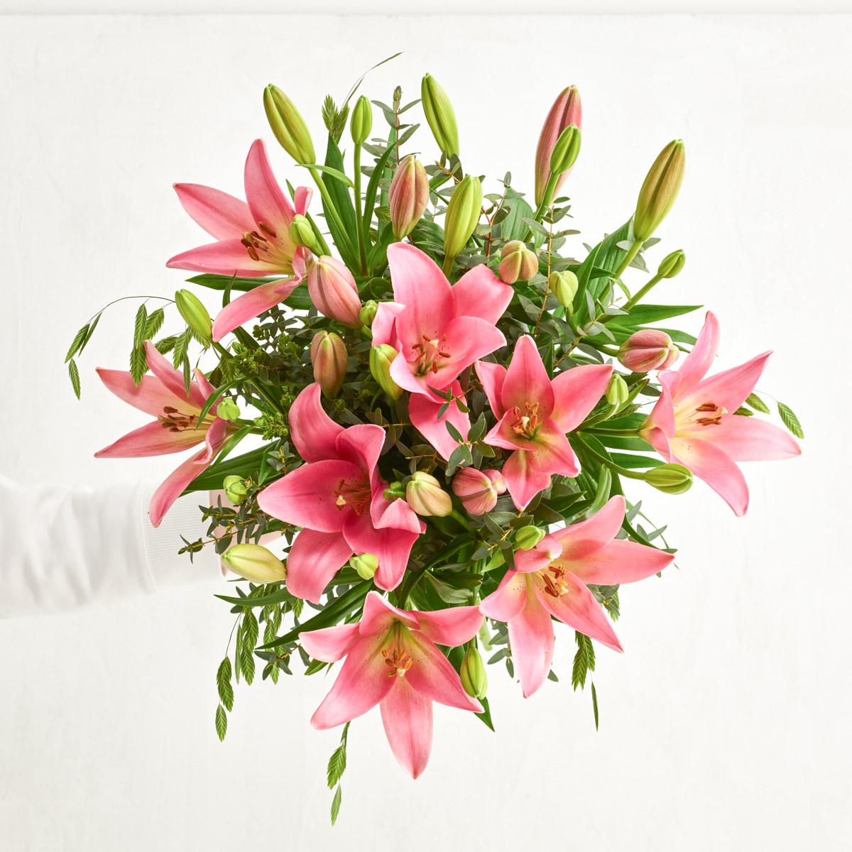 product image for The Pink Lillies, DK6284DK