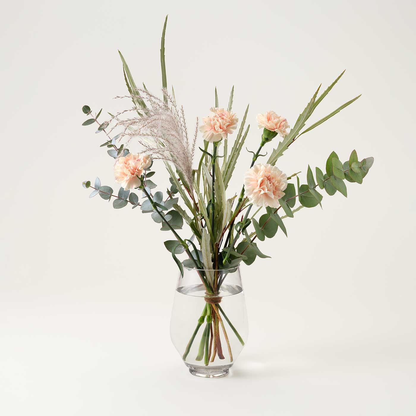 product image for Dreamy Carnation
