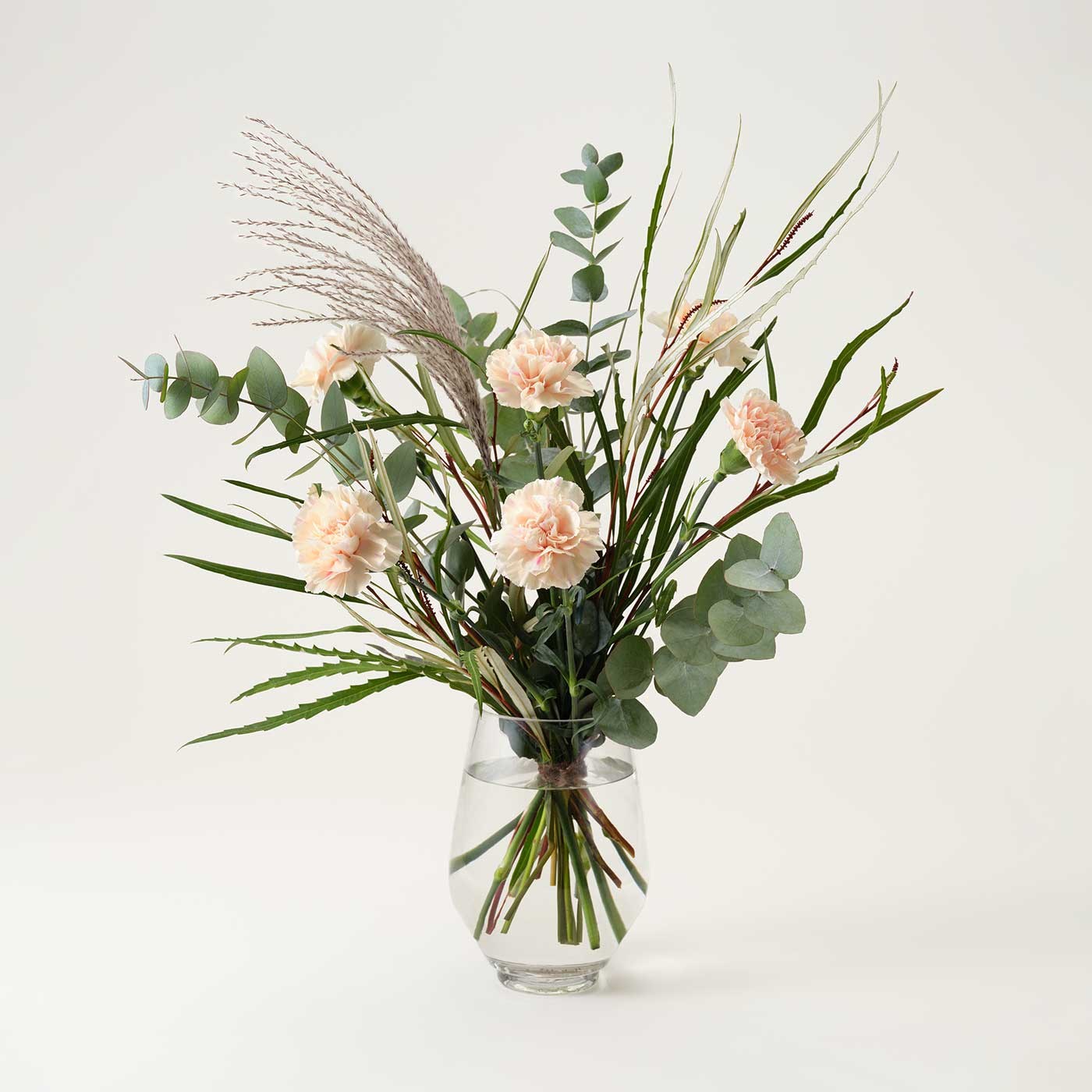 product image for Dreamy Carnation