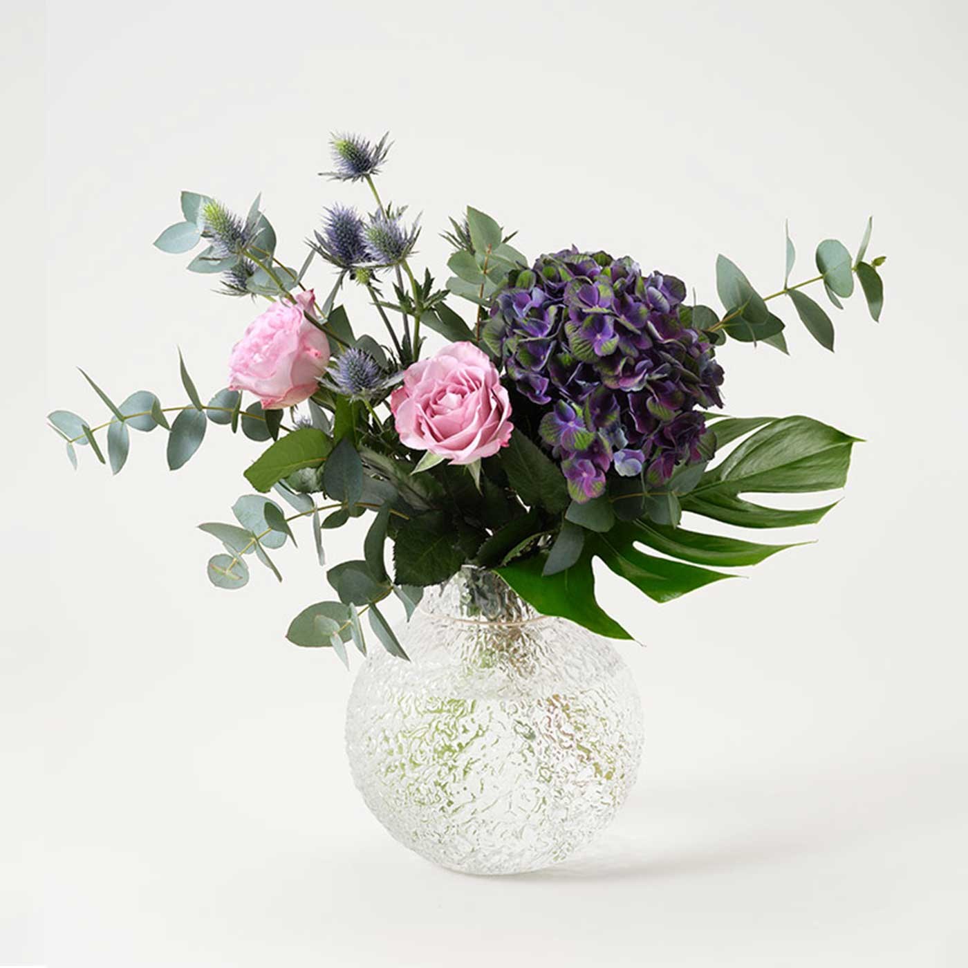 product image for Hydrangea Dream