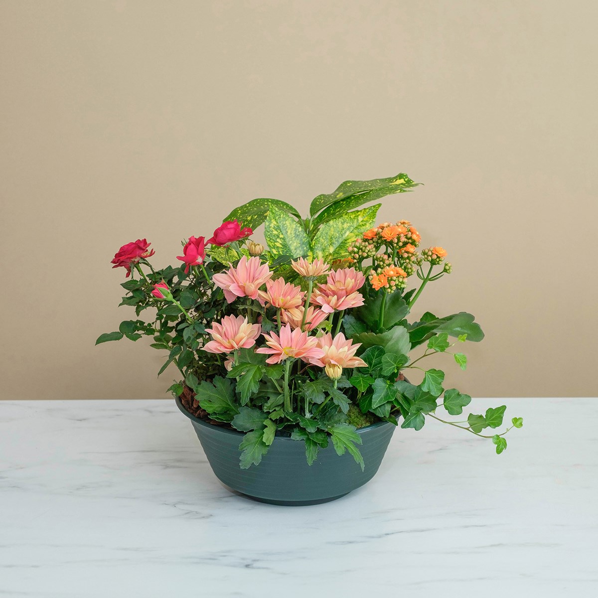 product image for Douce compassion