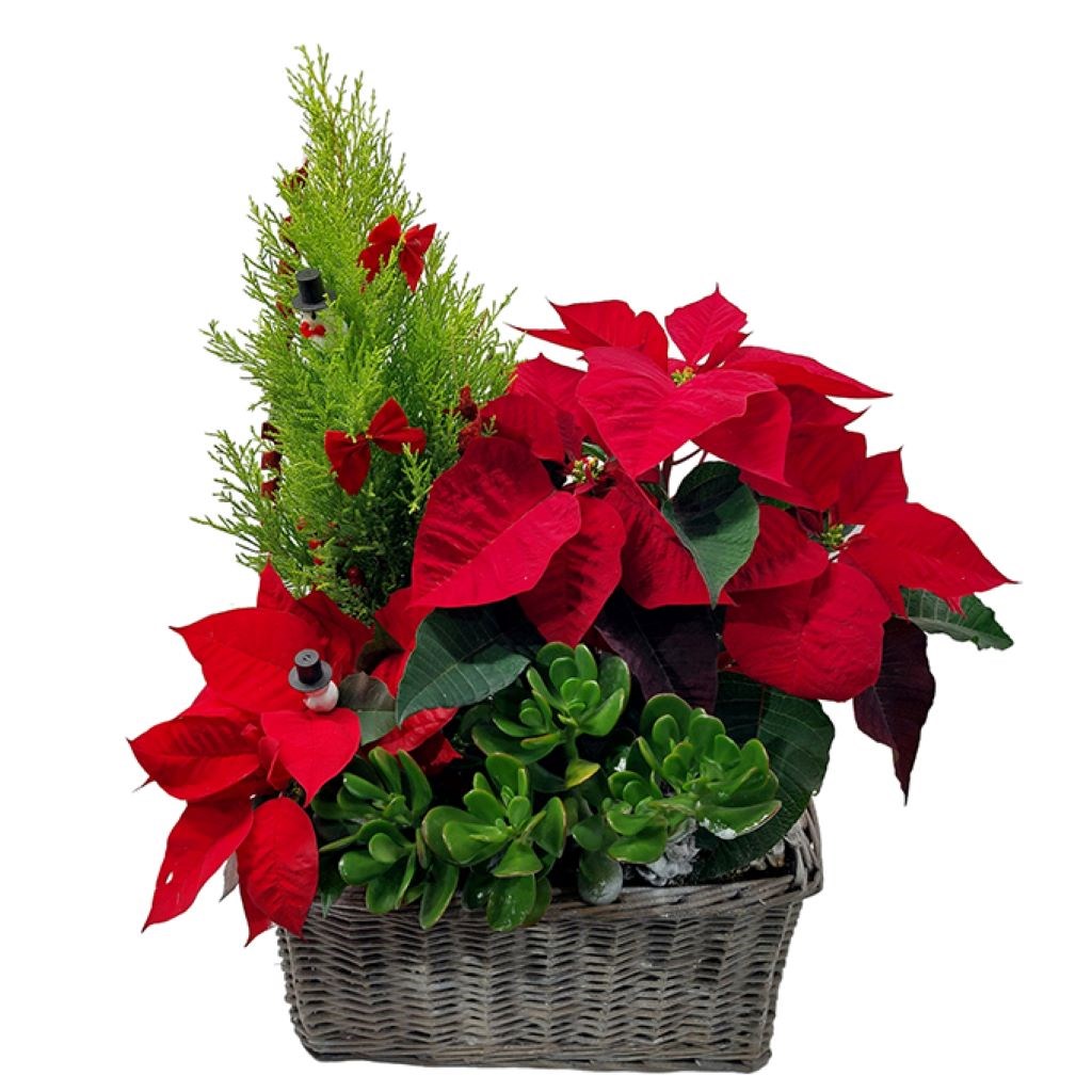 product image for Candy