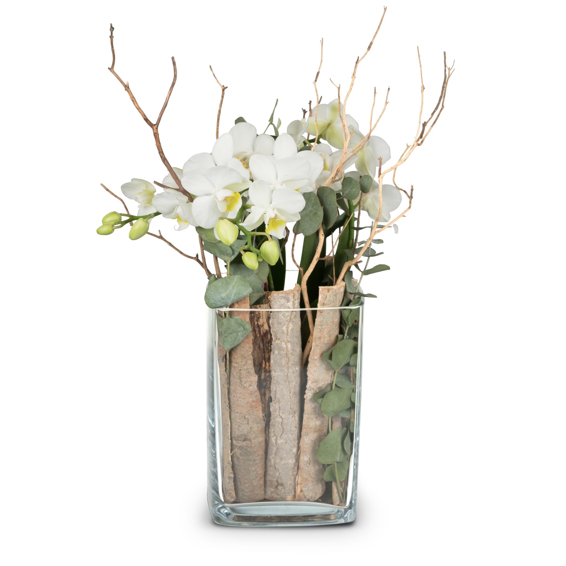 product image for Lifestyle (orchid in a vase)