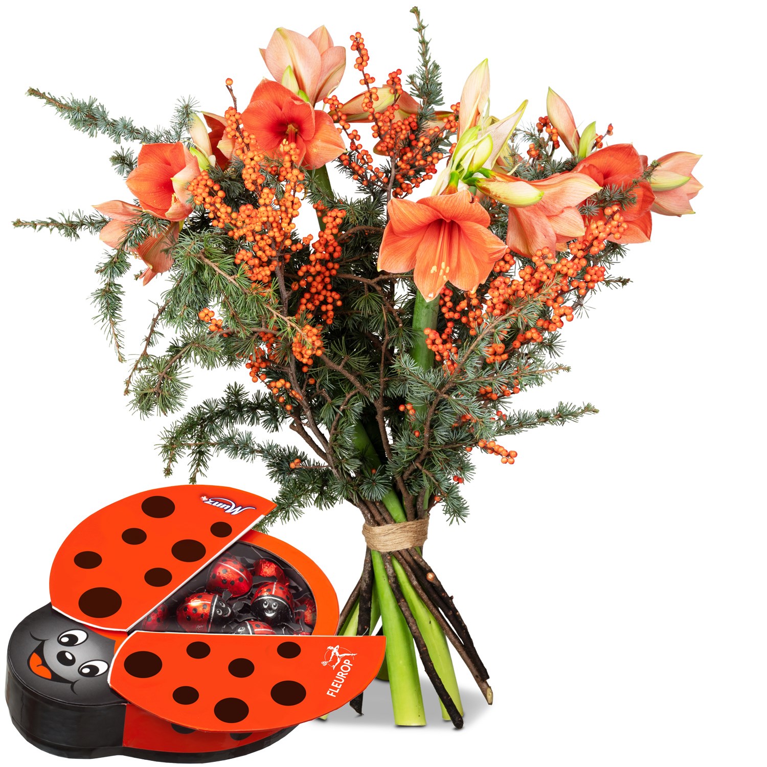 Winter Poem with Munz chocolate ladybird Switzerland Interflora