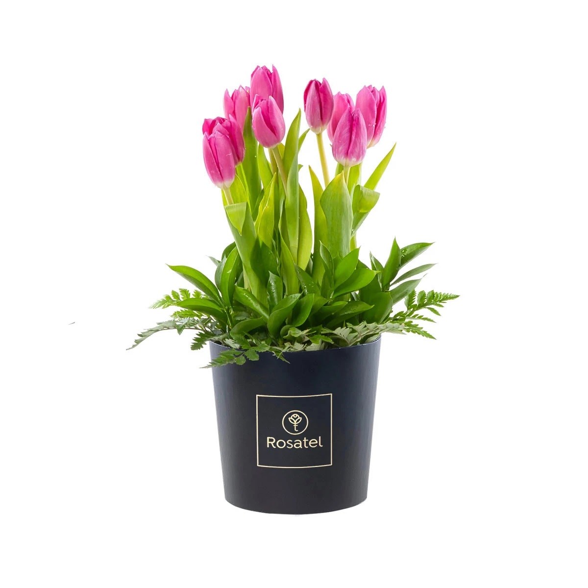 product image for Rosatel Tulip Hatbox