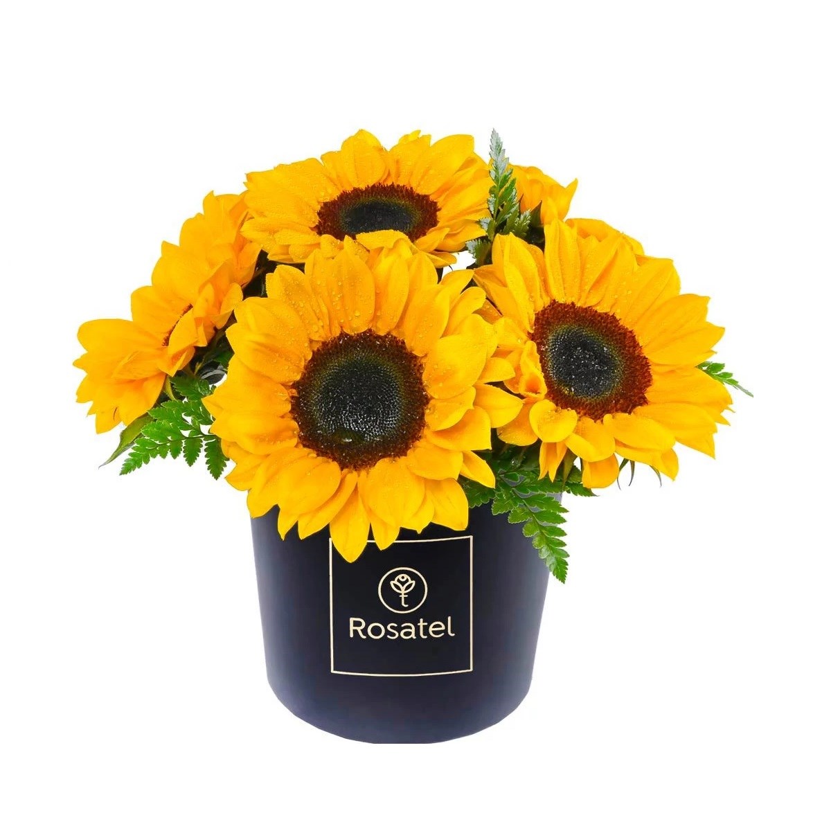 Sunflower Rosatel Hatbox