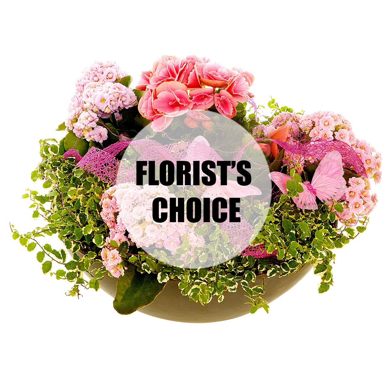 Florist's choice planting in a low bowl