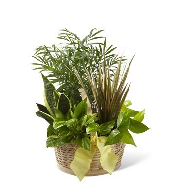 product image for French Garden