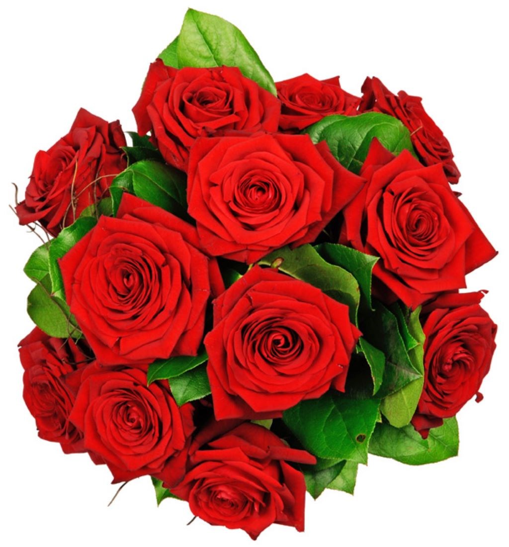 product image for Tantalizing 12 Roses