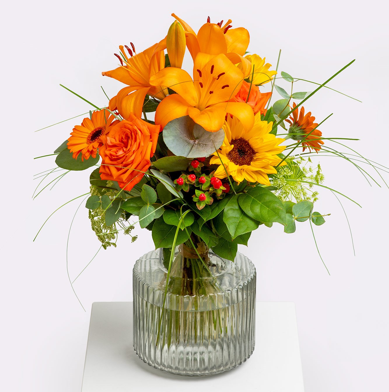product image for Joy of the Sun