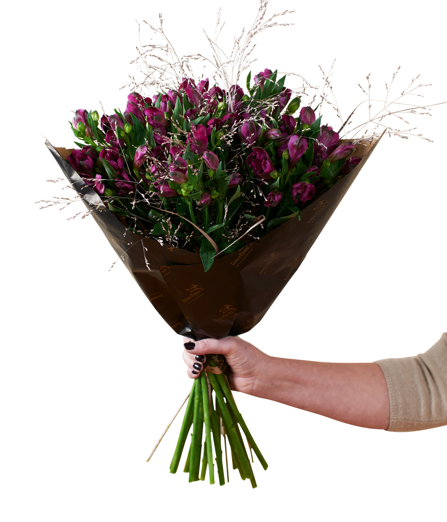 product image for Amazing Alstromeria Purple 240527