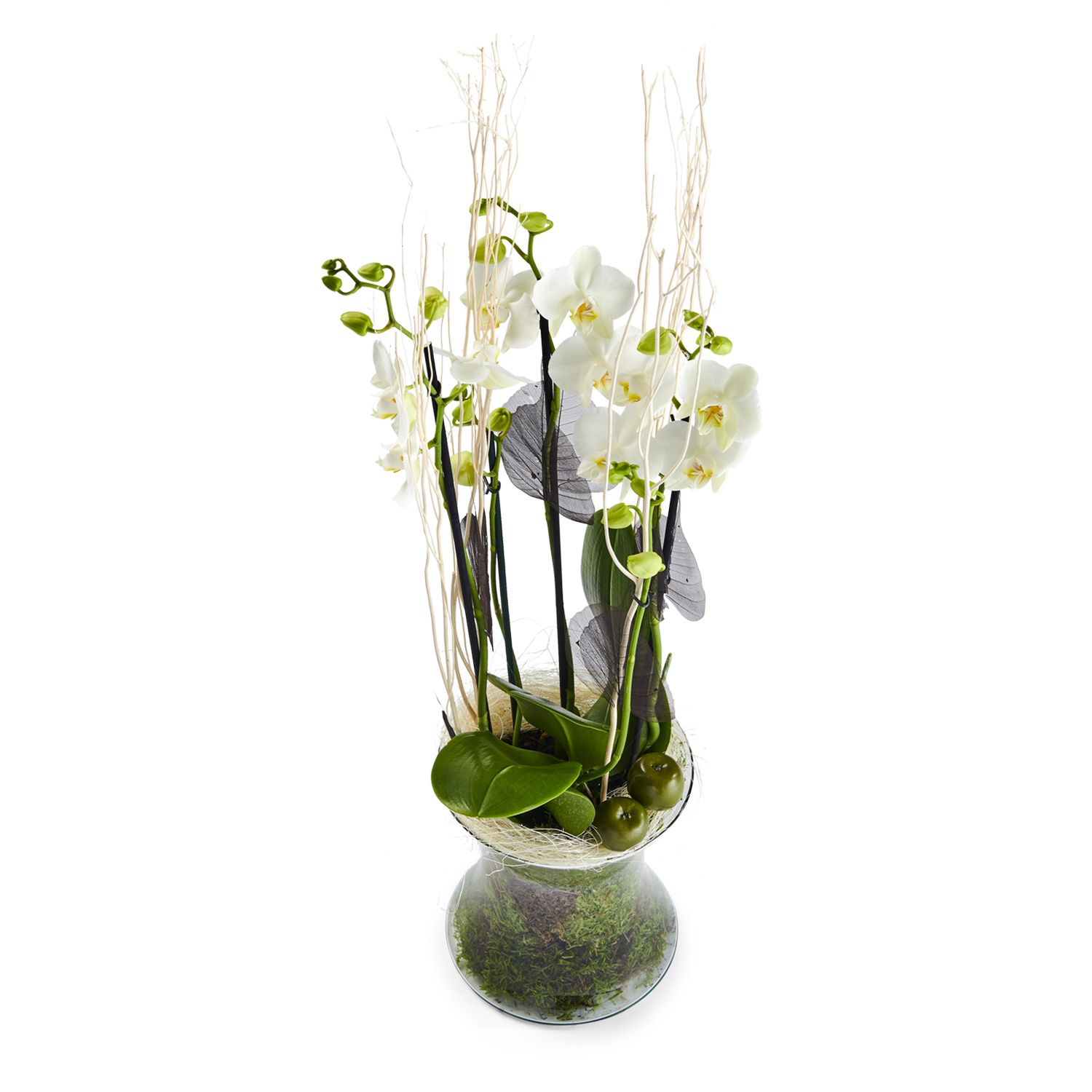 product image for Leyla