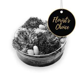 Arrangement of Plants - Florist’s Choice