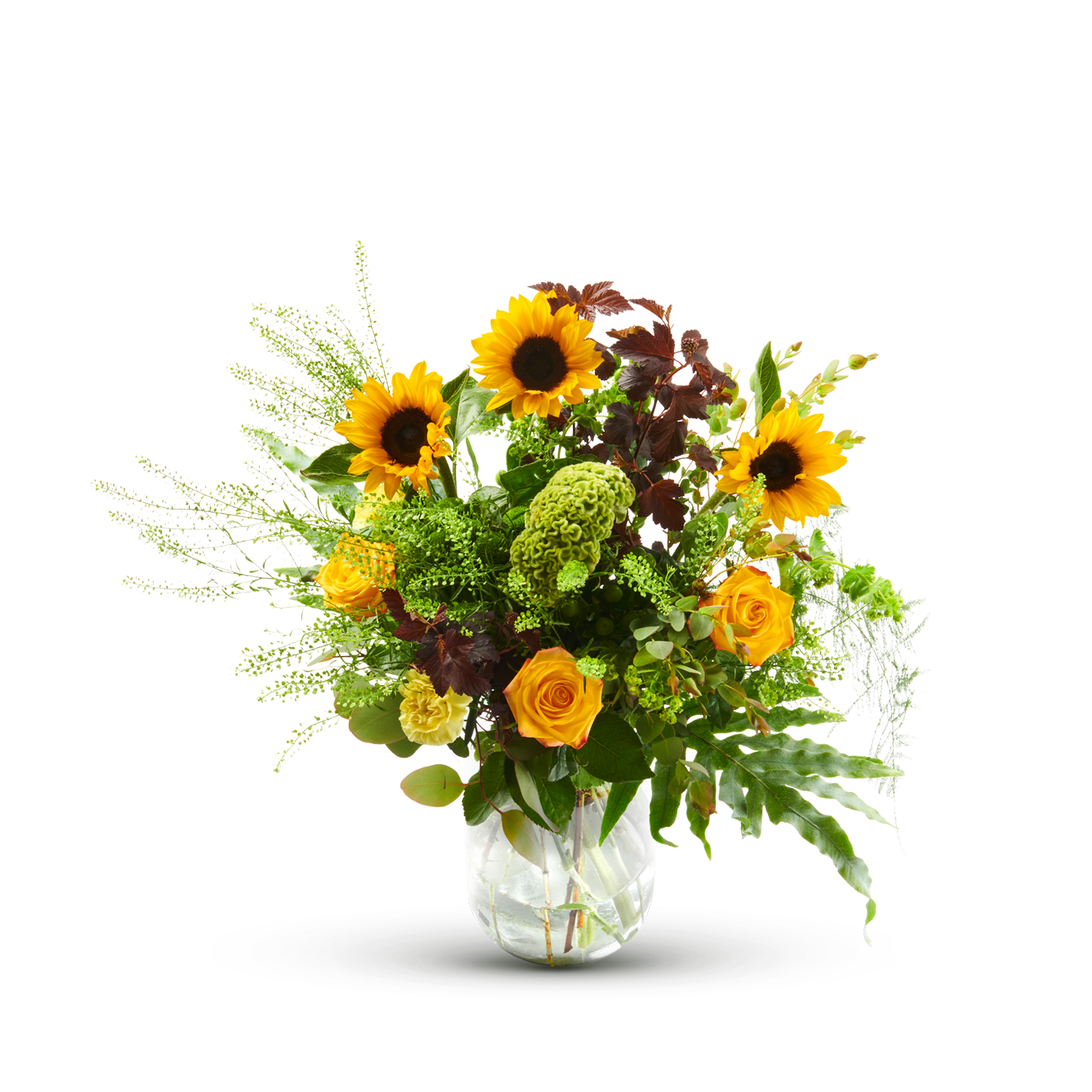 product image for Tess
