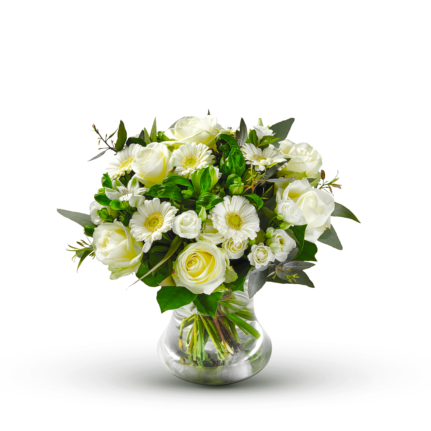 product image for Mila