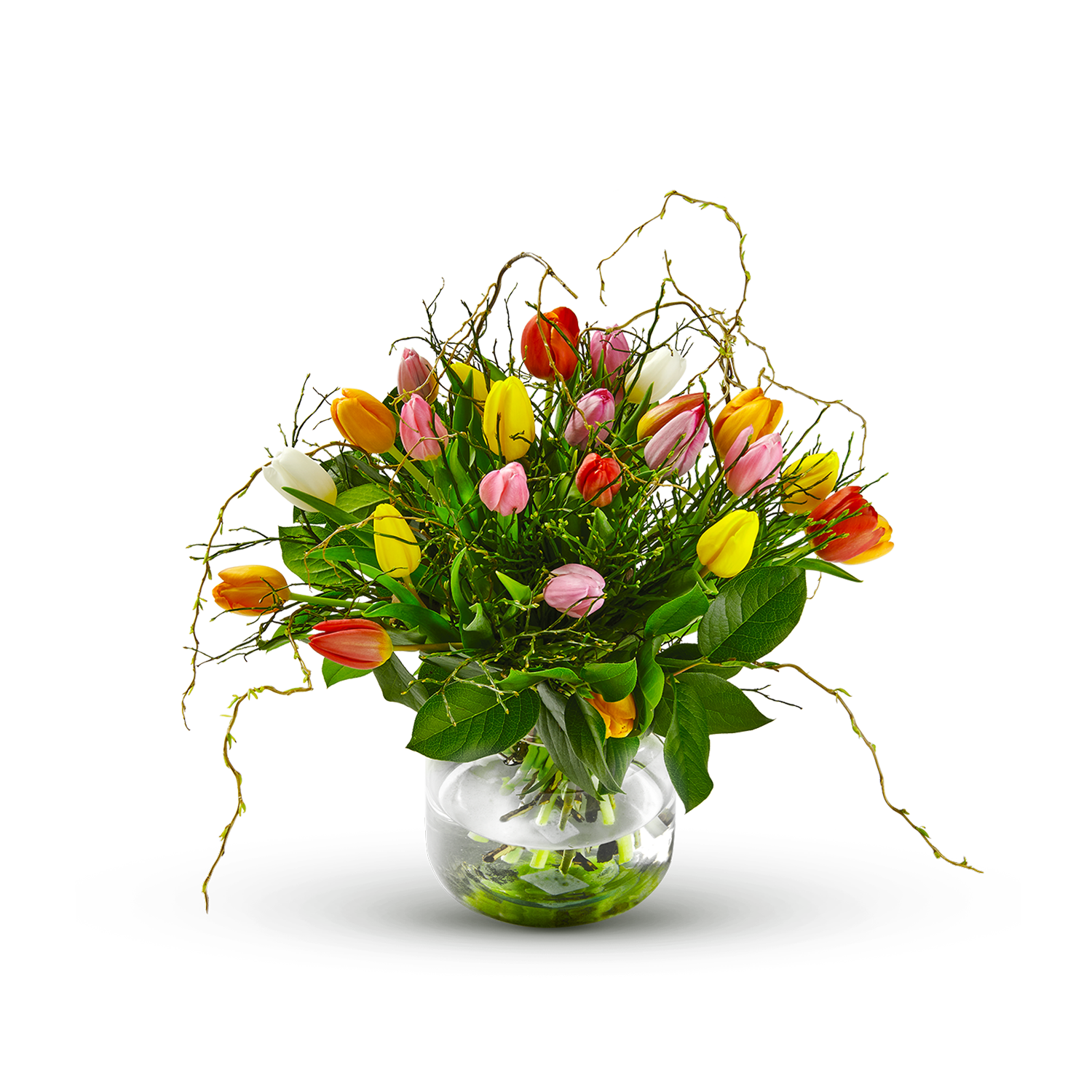 product image for Multi Tulipa