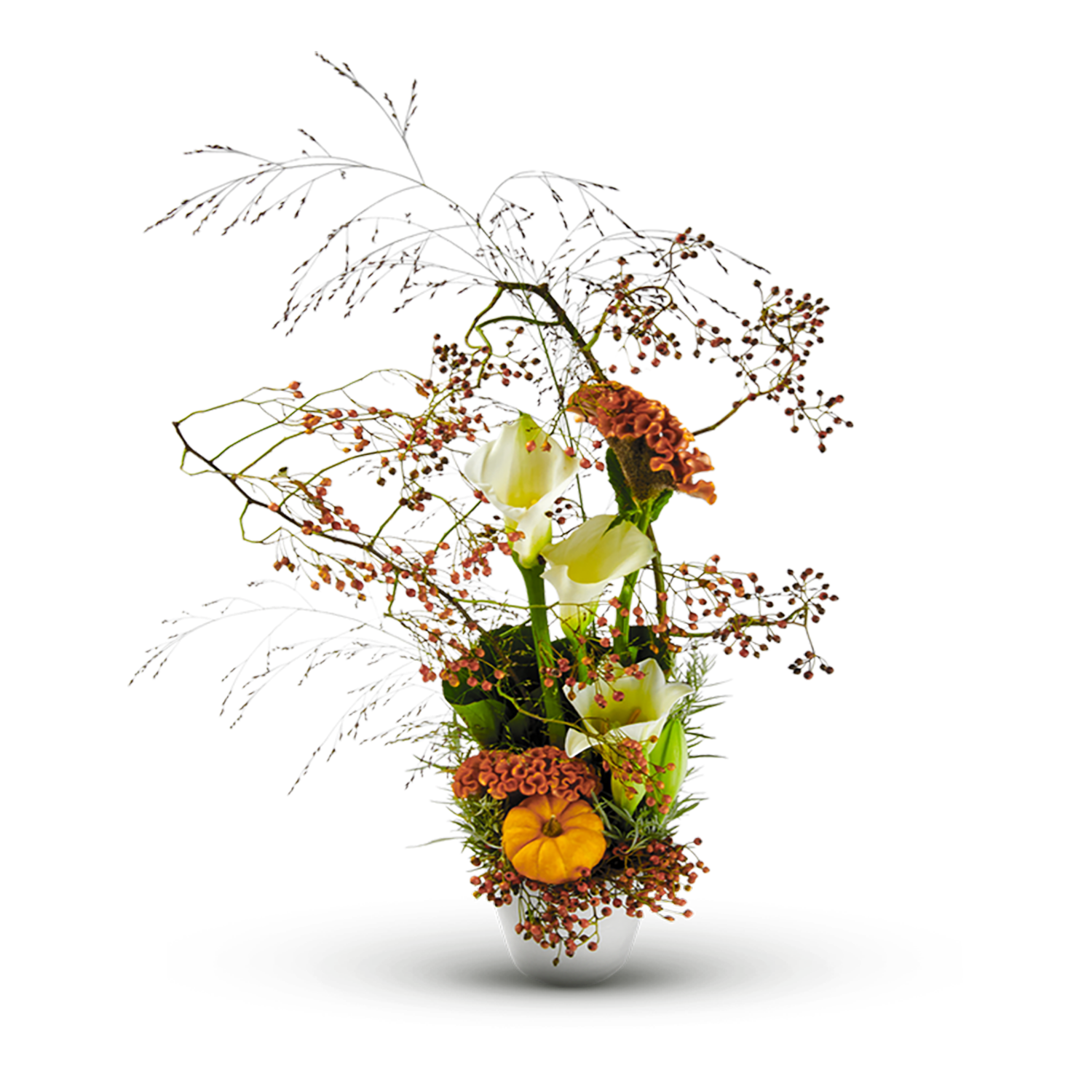 product image for Ayana