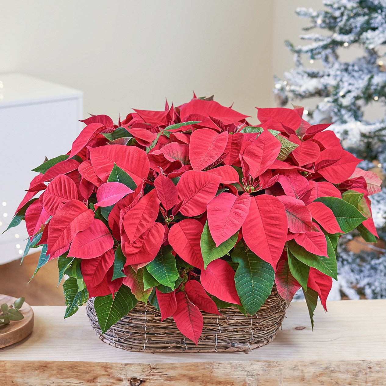 product image for Christmas Star Basket Extra