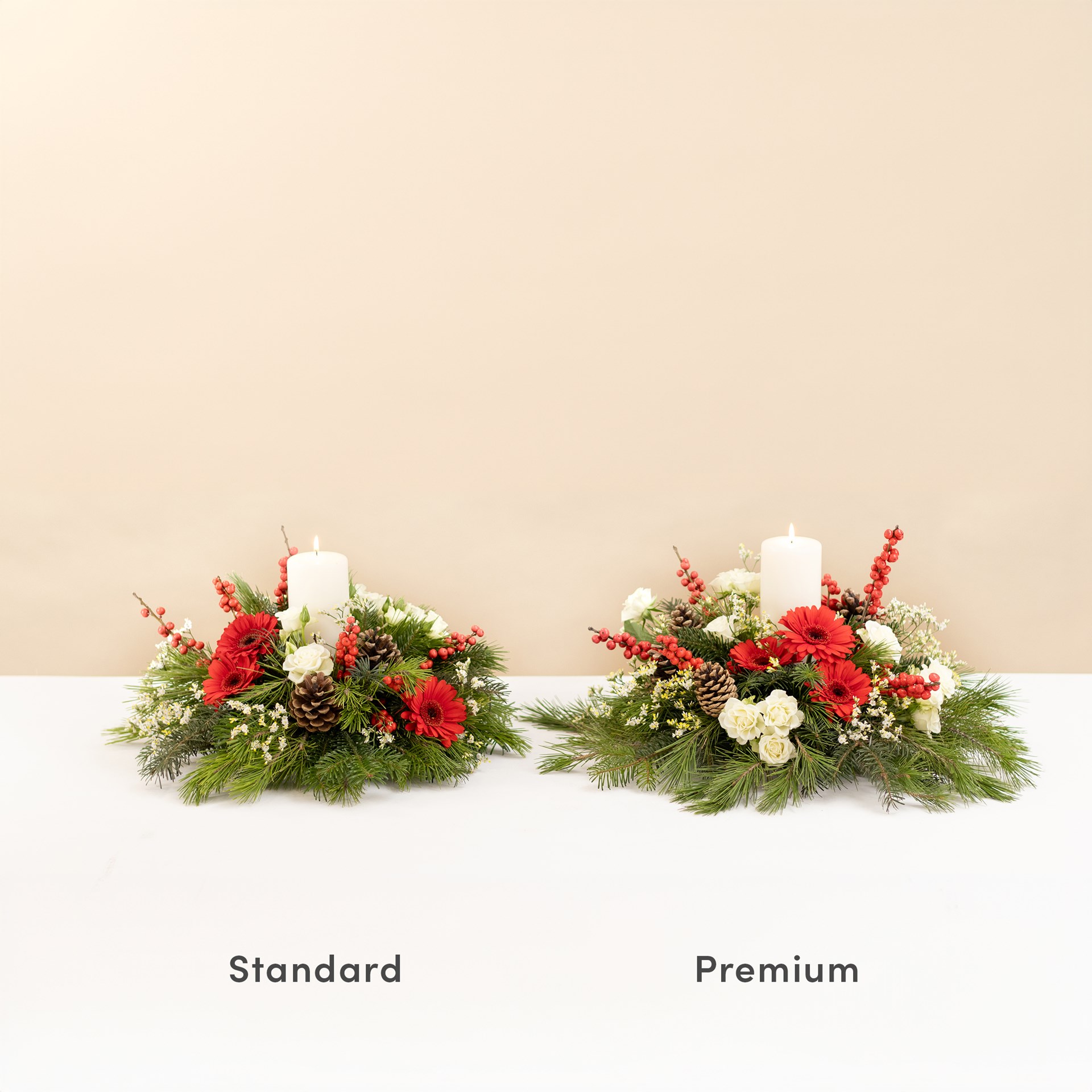 product image for Christmas shine