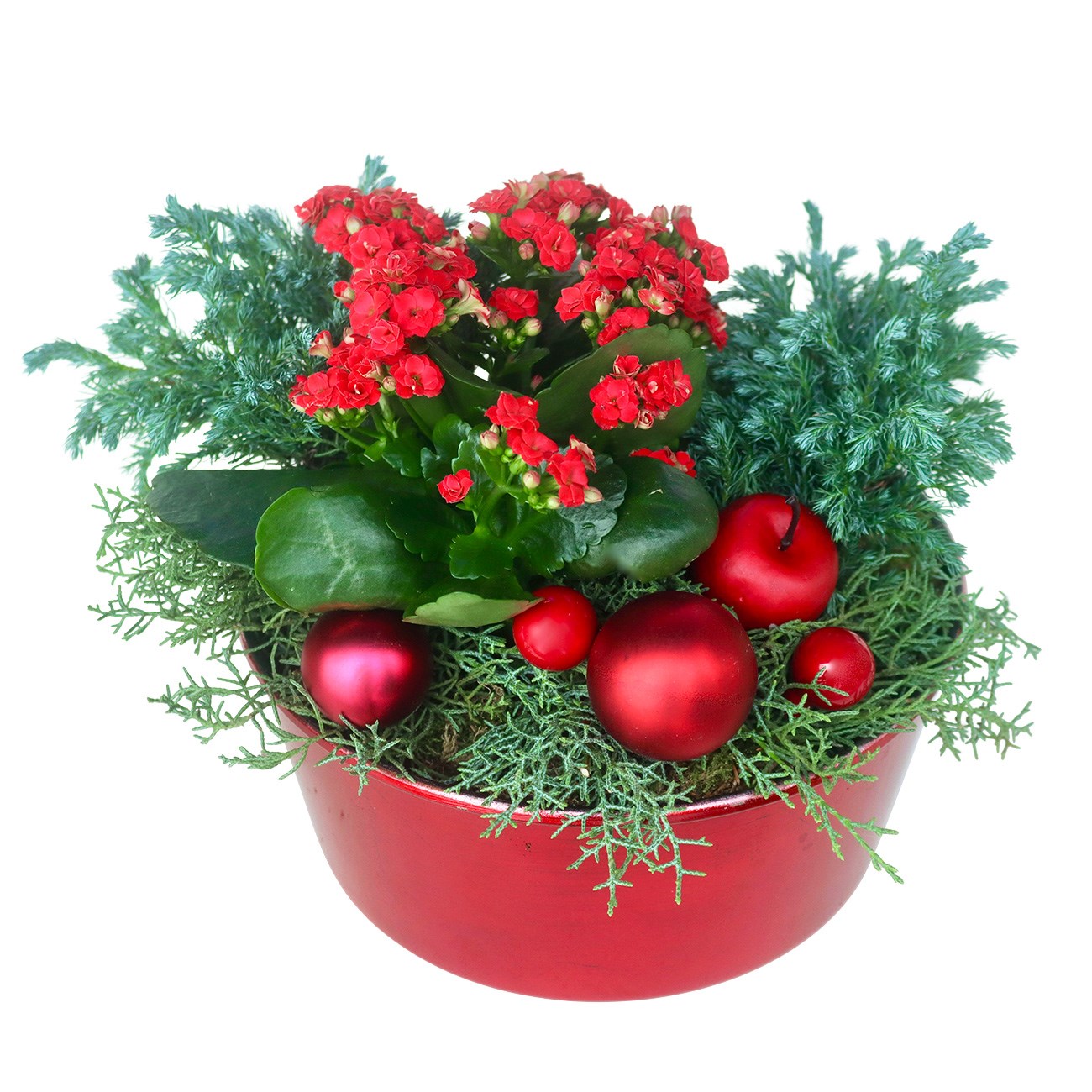 product image for Memory of Christmas