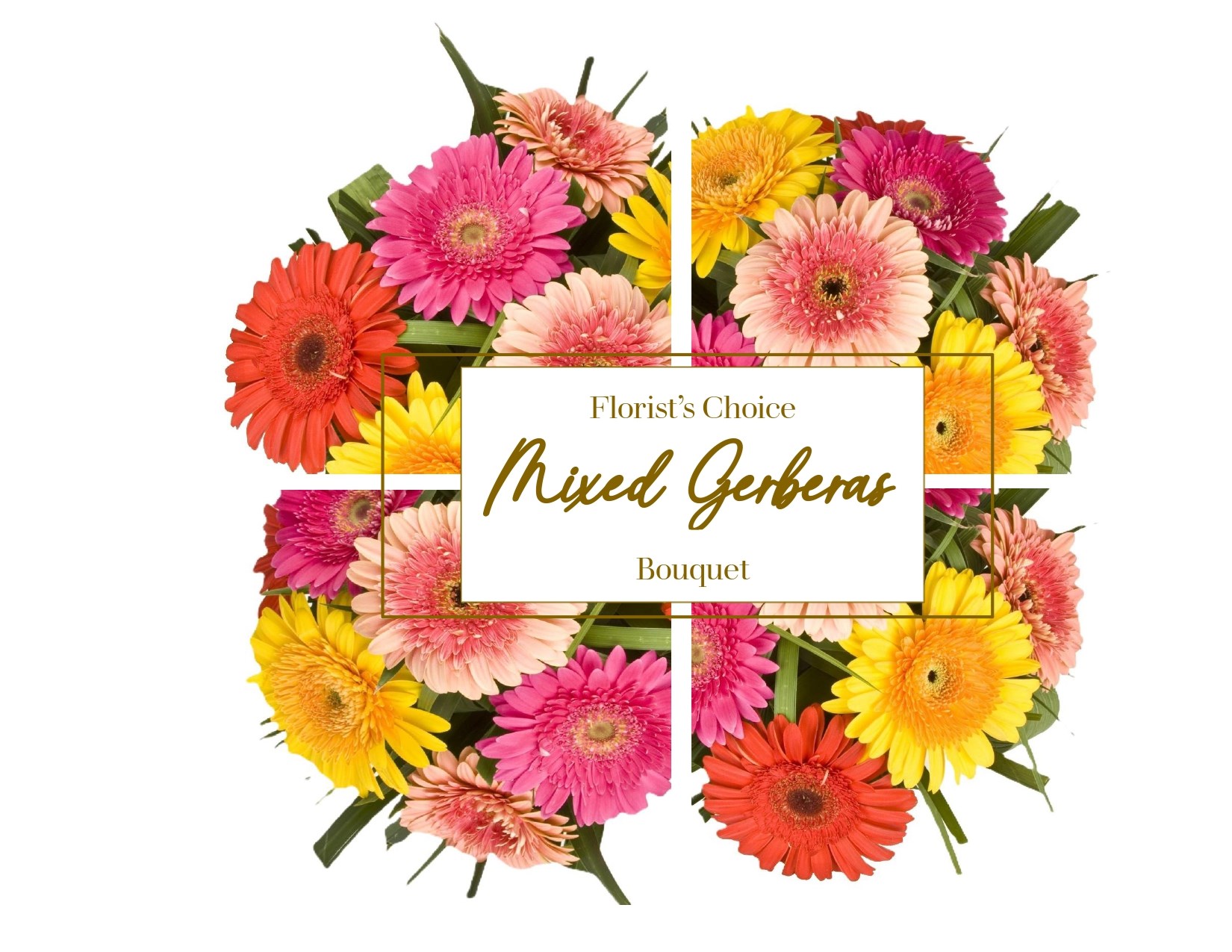 Florist's Choice - Gerbera Bouquet