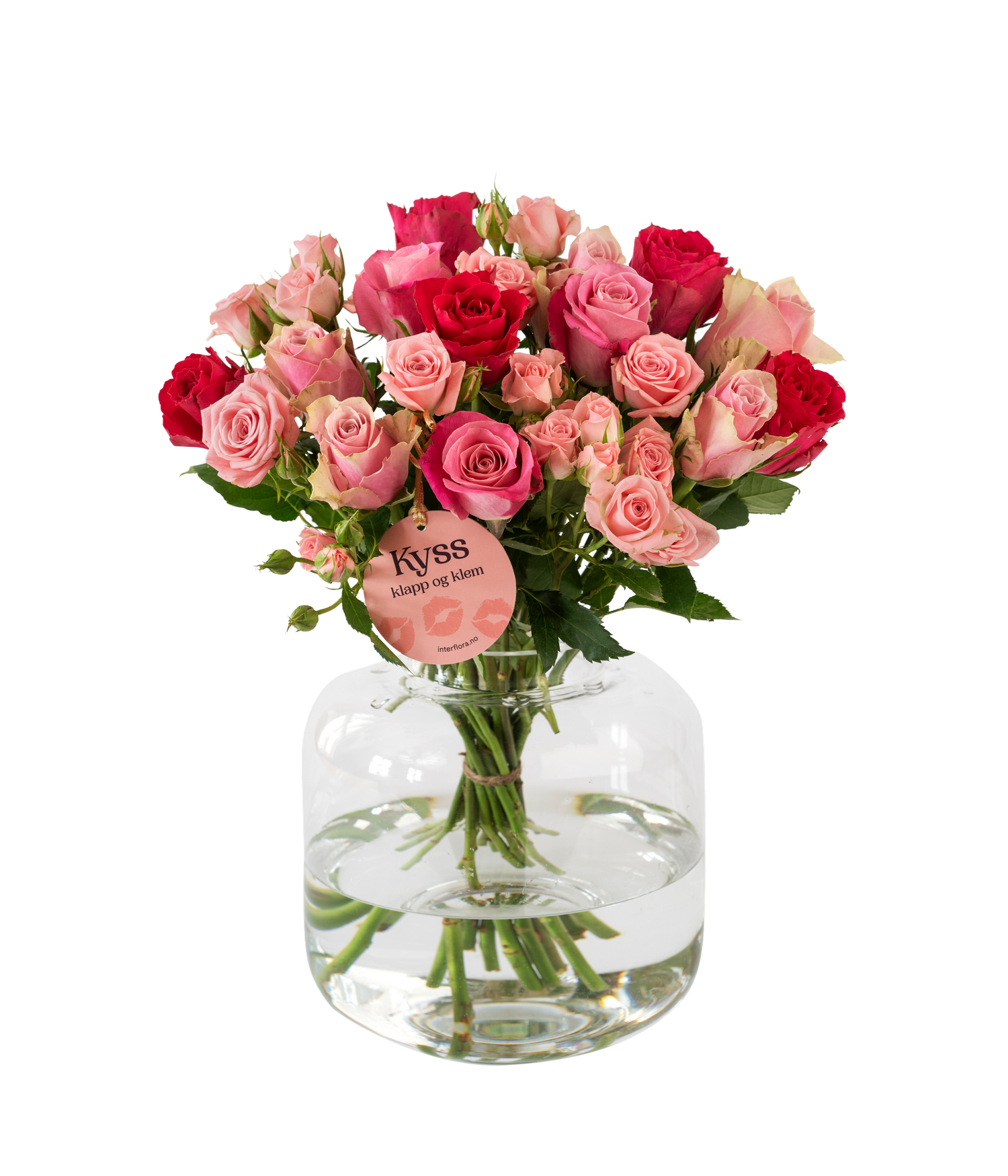 product image for Rosedream 240111