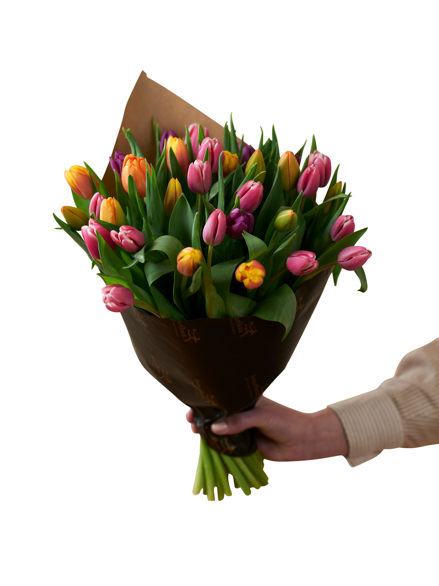 product image for Vibrant Tulips 240119