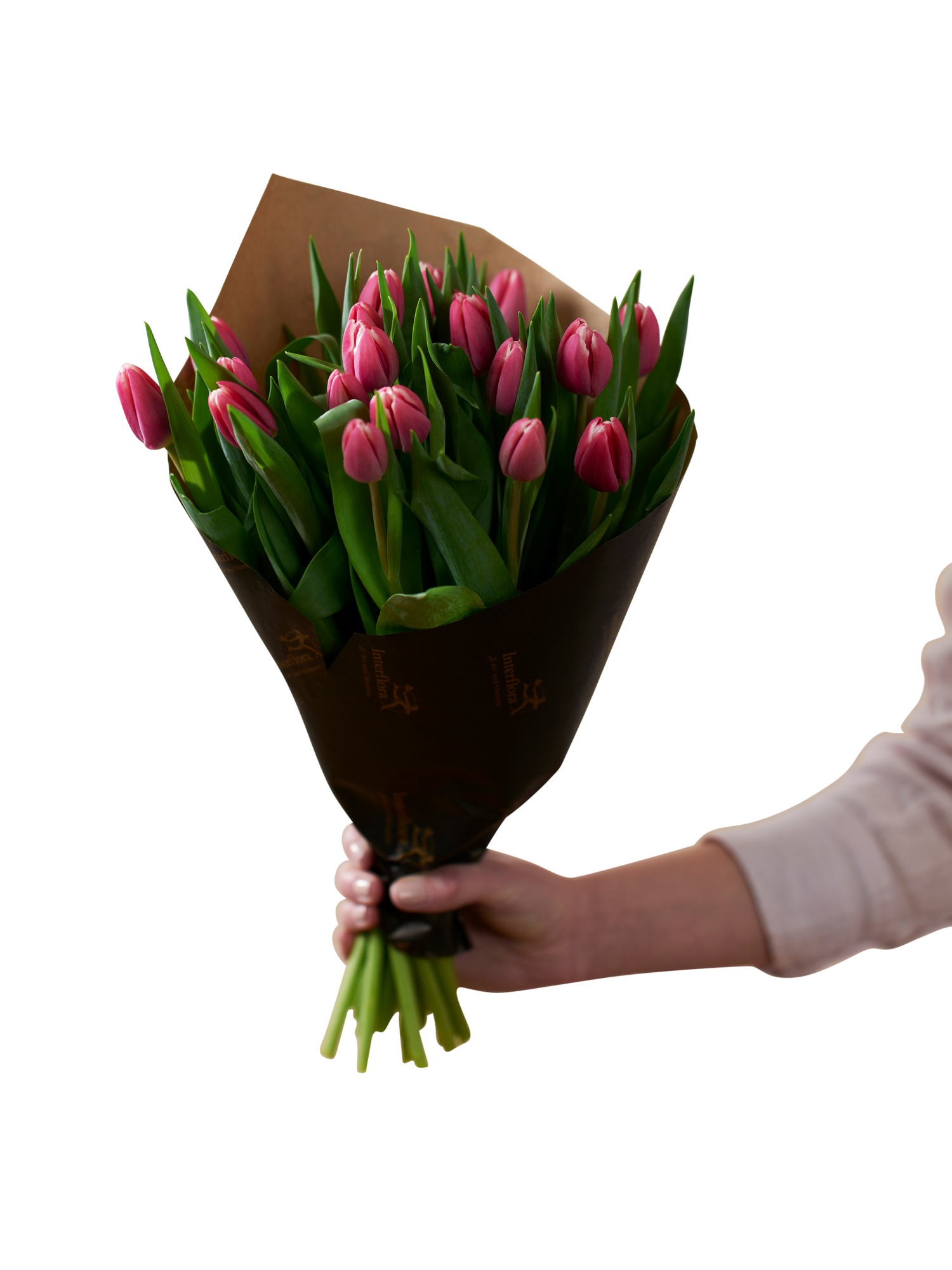 product image for Pink Tulips 240124