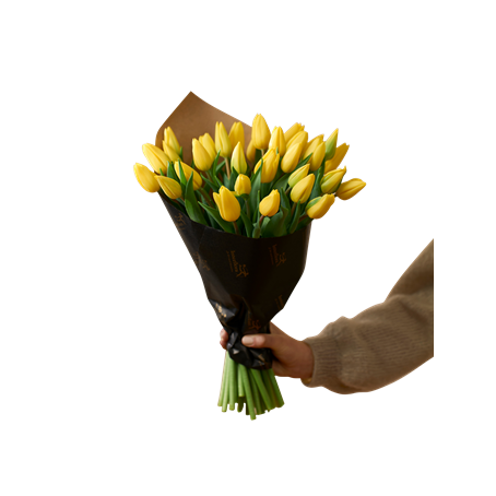 Easter Tulips 240131