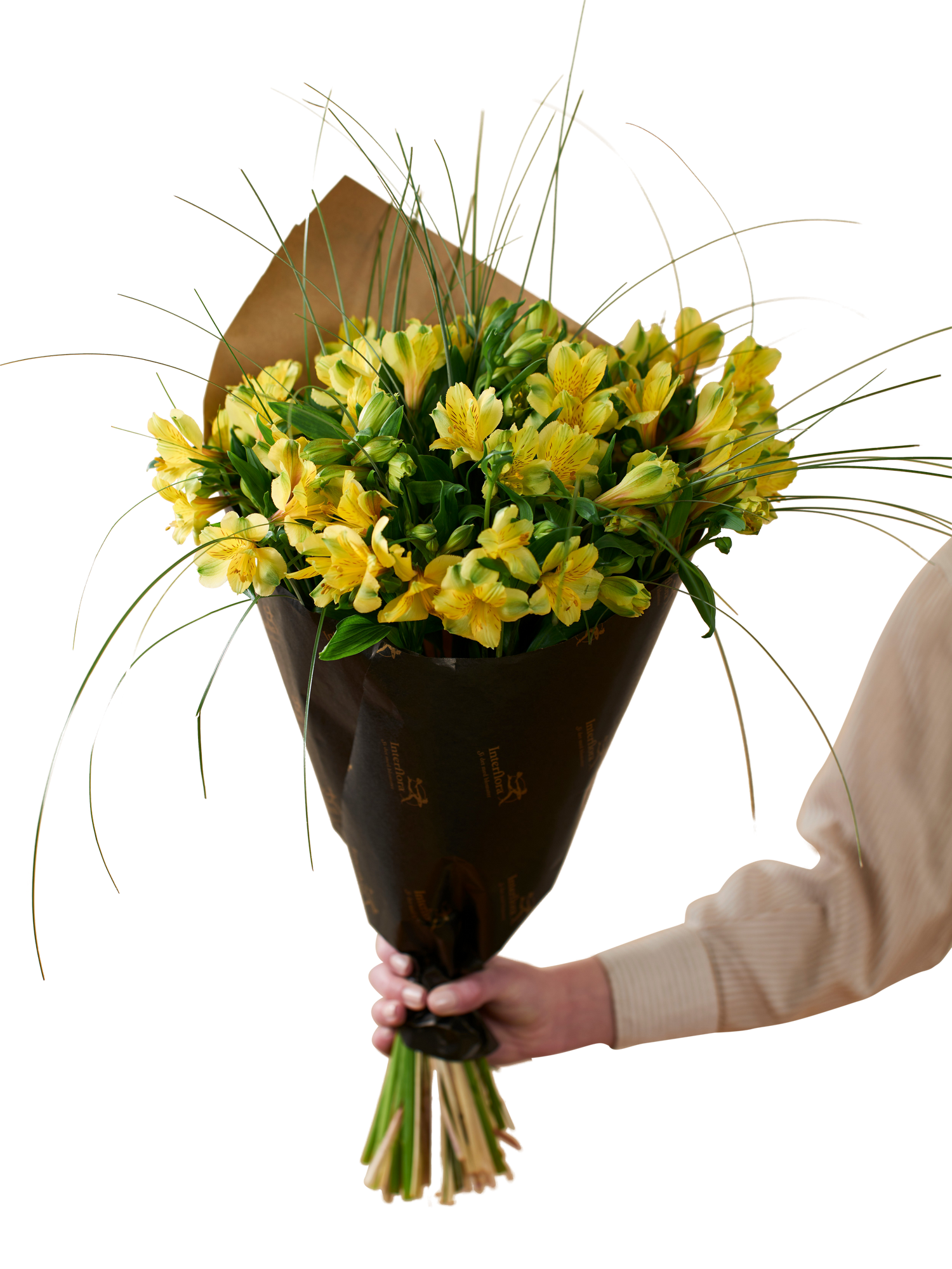 product image for Gorgeous Yellow Alstromeria 240137