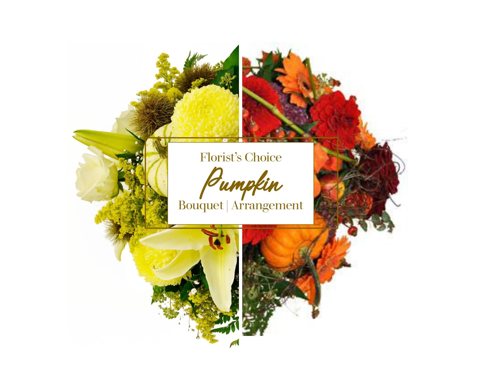 product image for Pumpkin