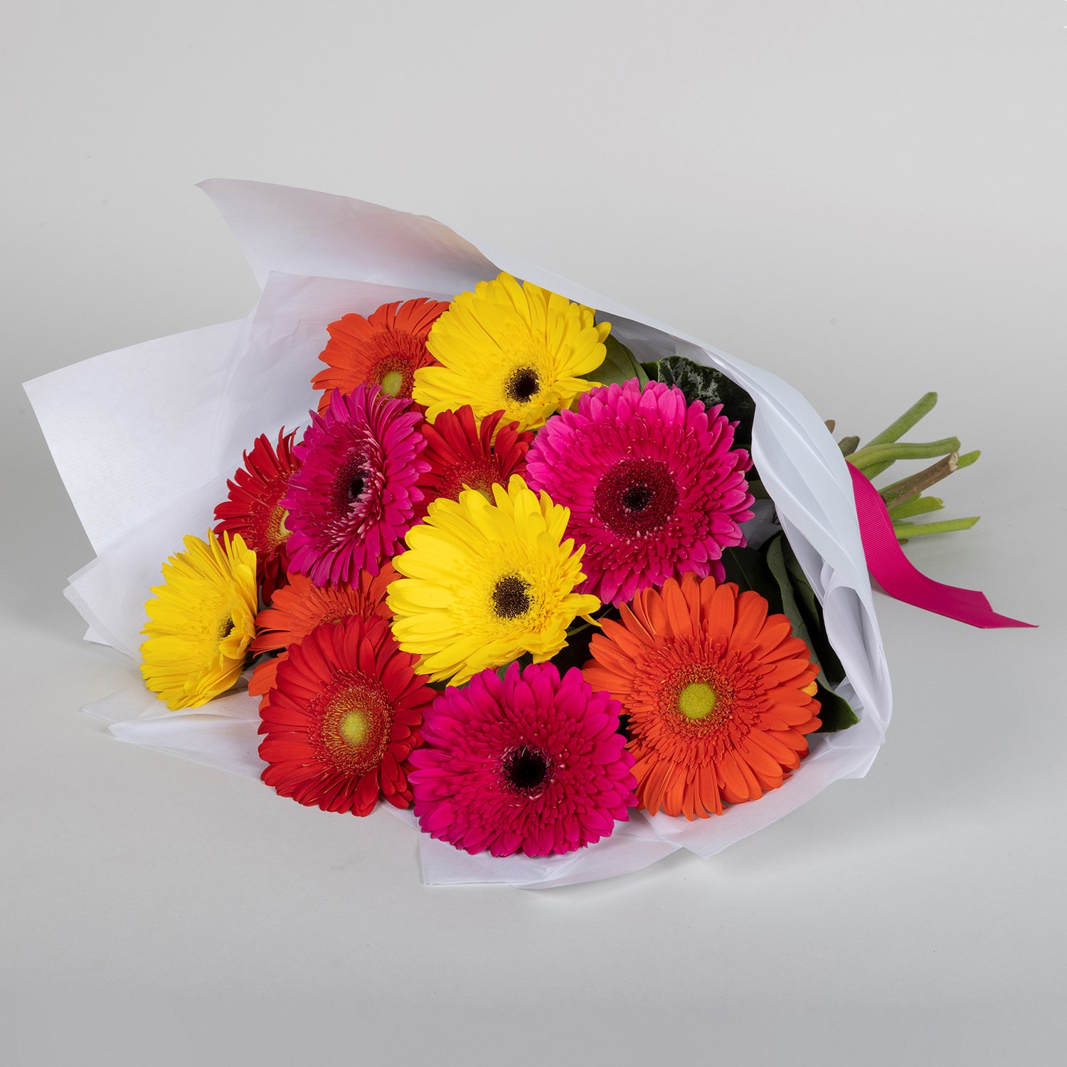 Colourful Gerberas