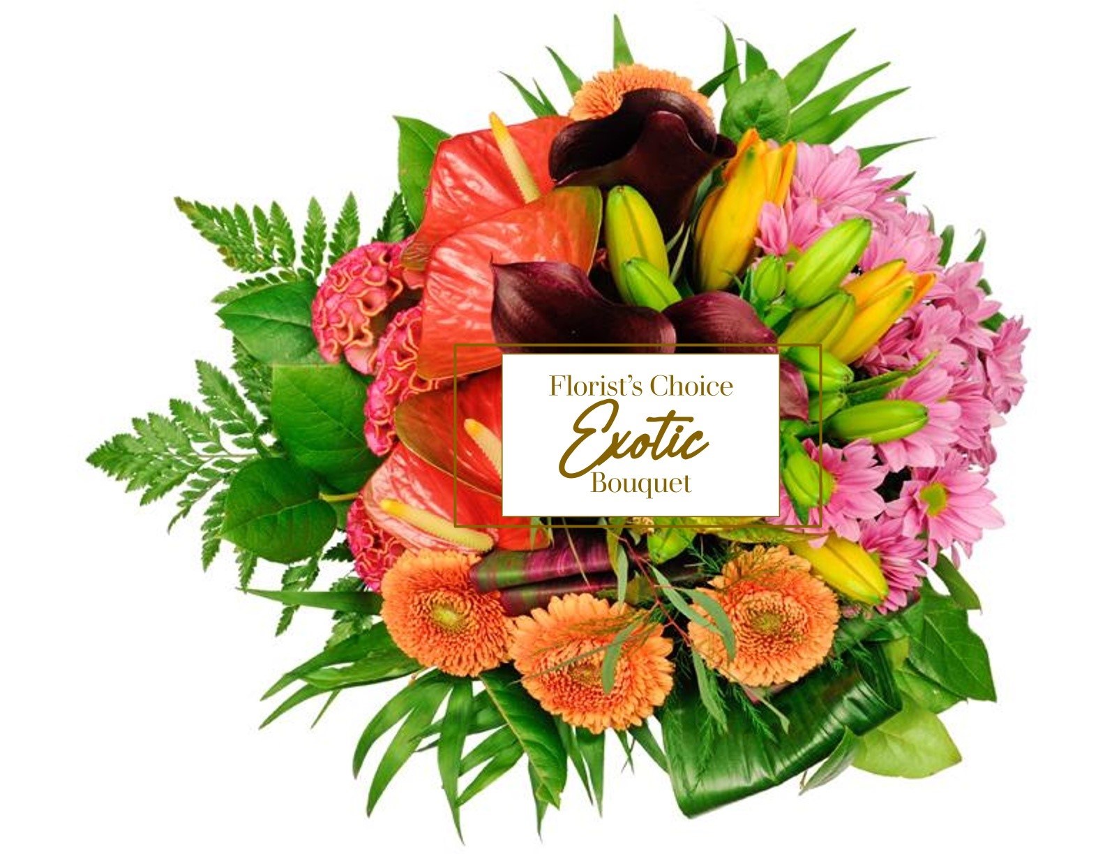 Exotica - Florist Choice Exotic Bouquet