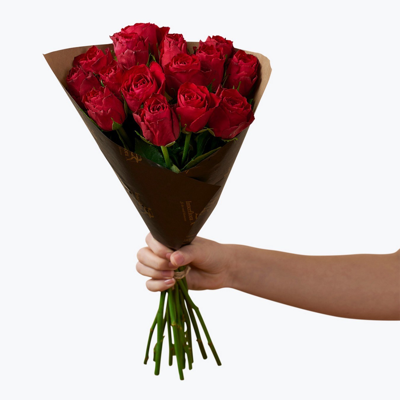 Red roses 15  242622