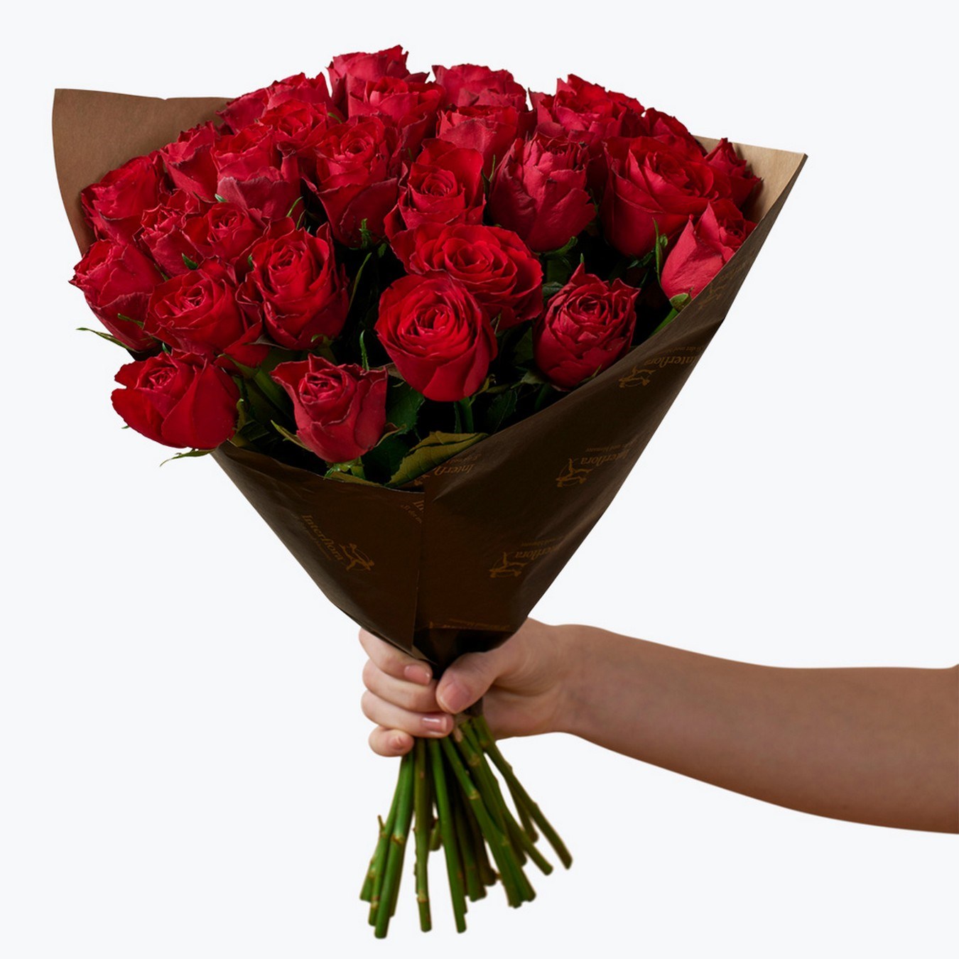 Red roses 30  242624