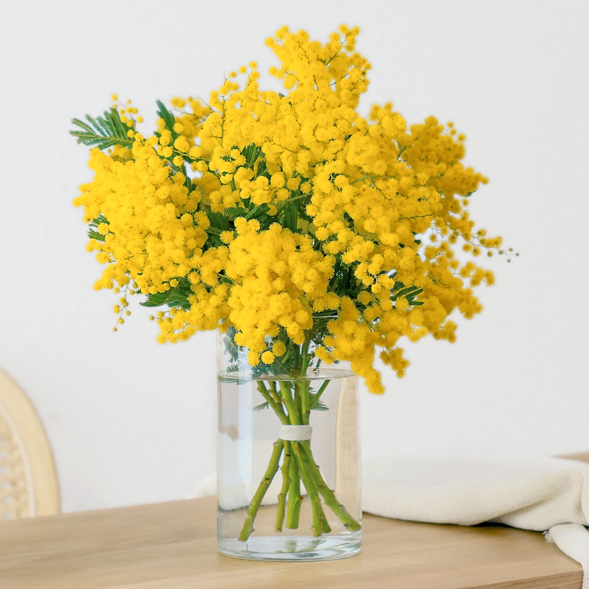 product image for Radiant Mimosa Bouquet