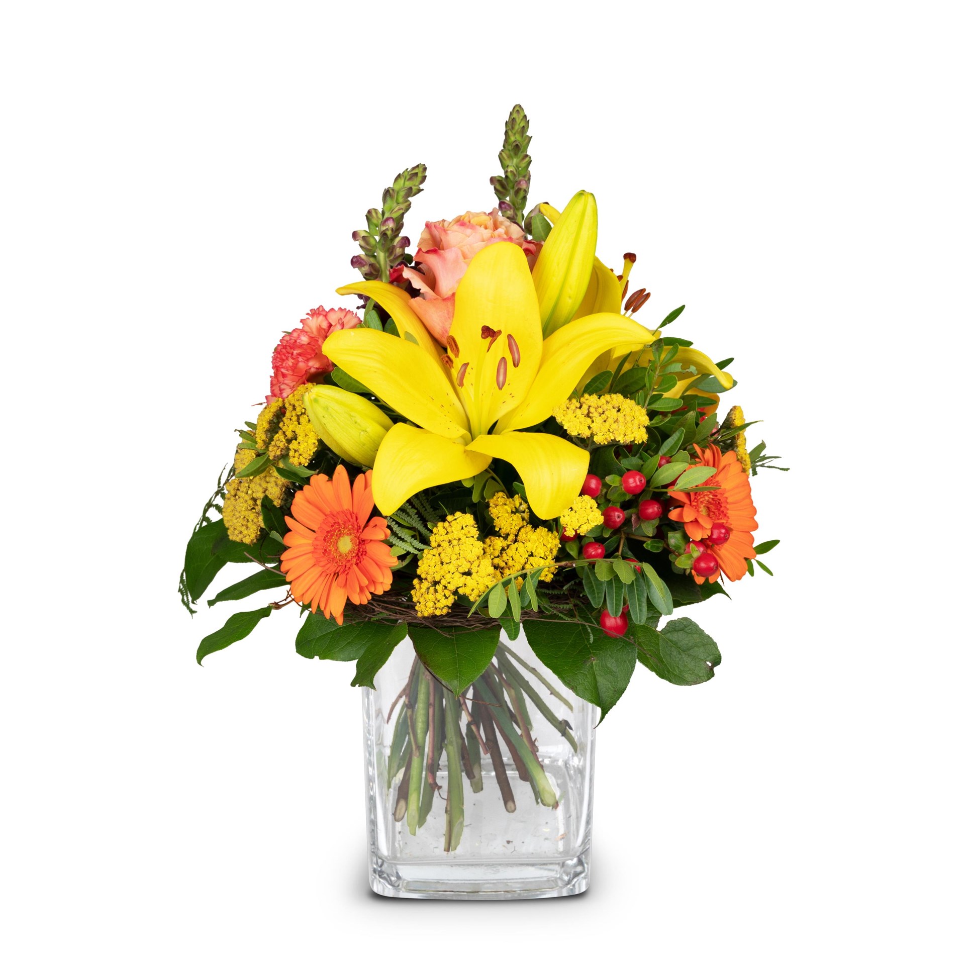 product image for Summer Star