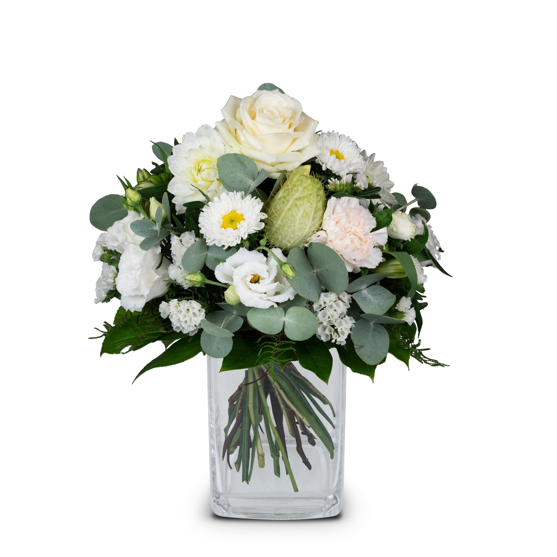 product image for Summer Pearl