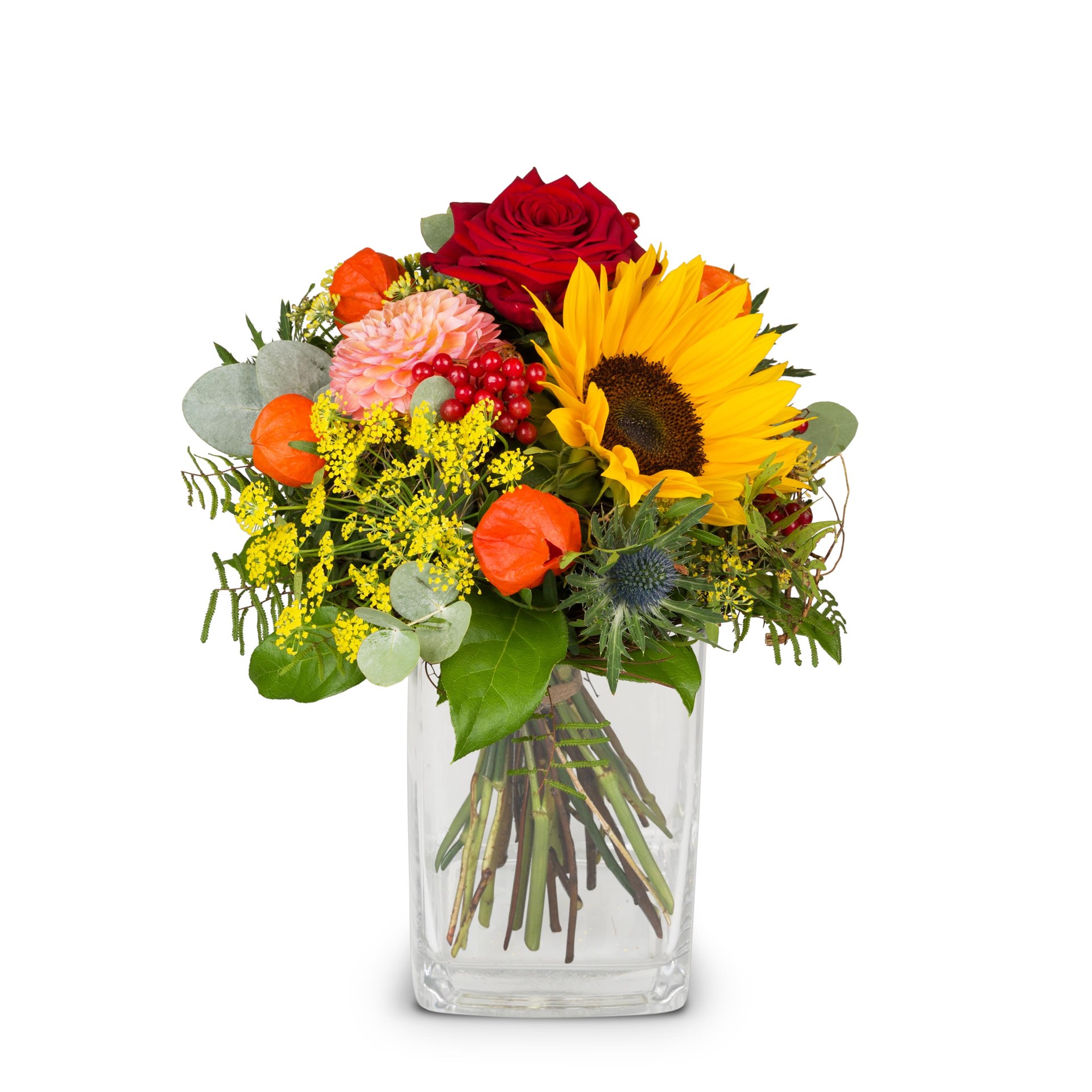 product image for Late Summer Dream