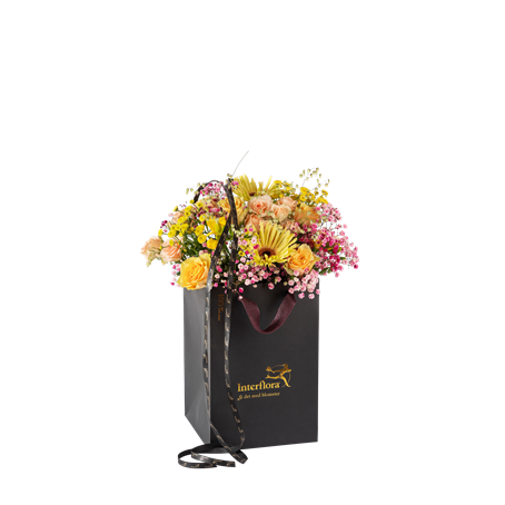 Summer Classic 250309