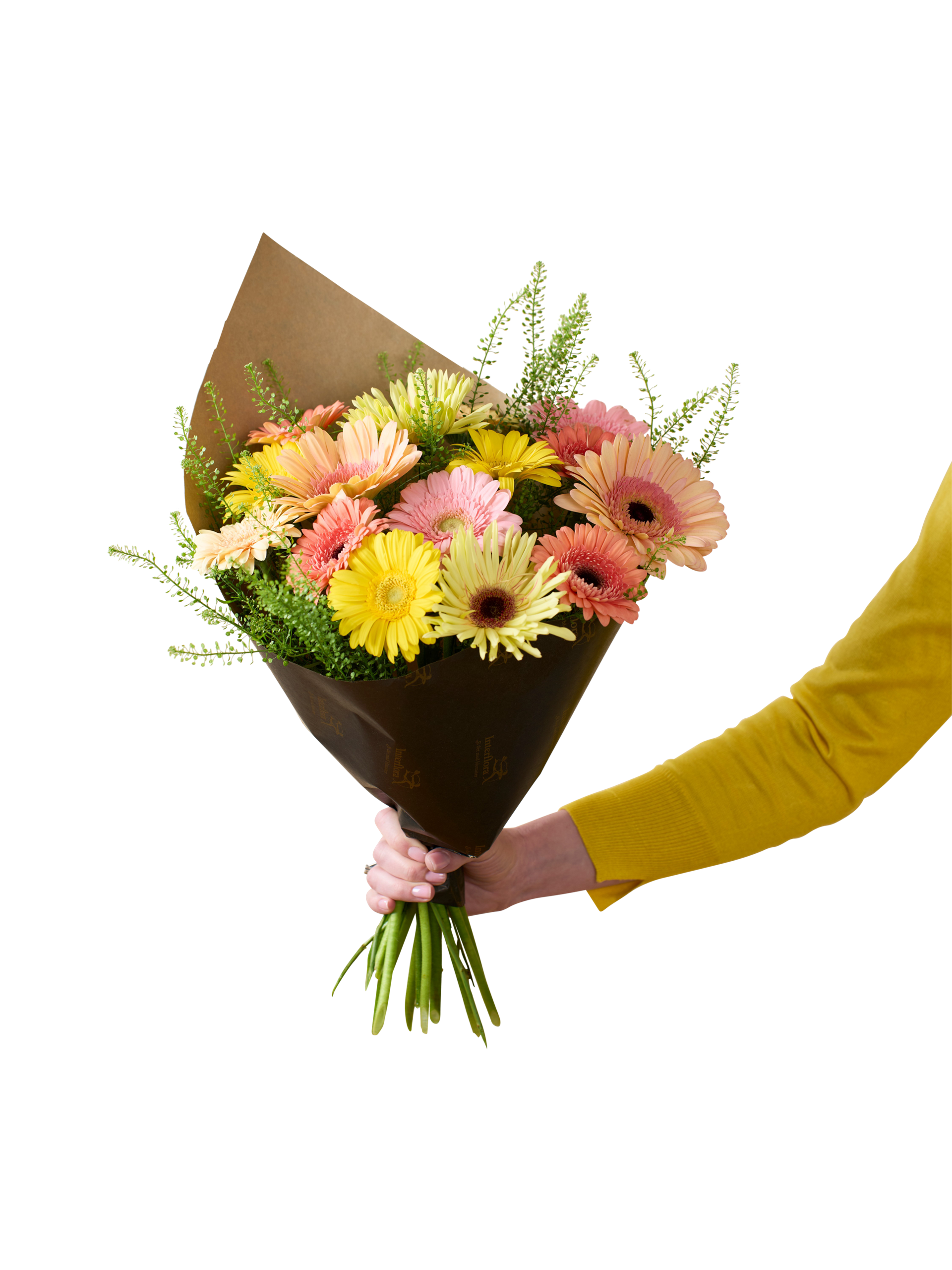 product image for Vibrant 250327