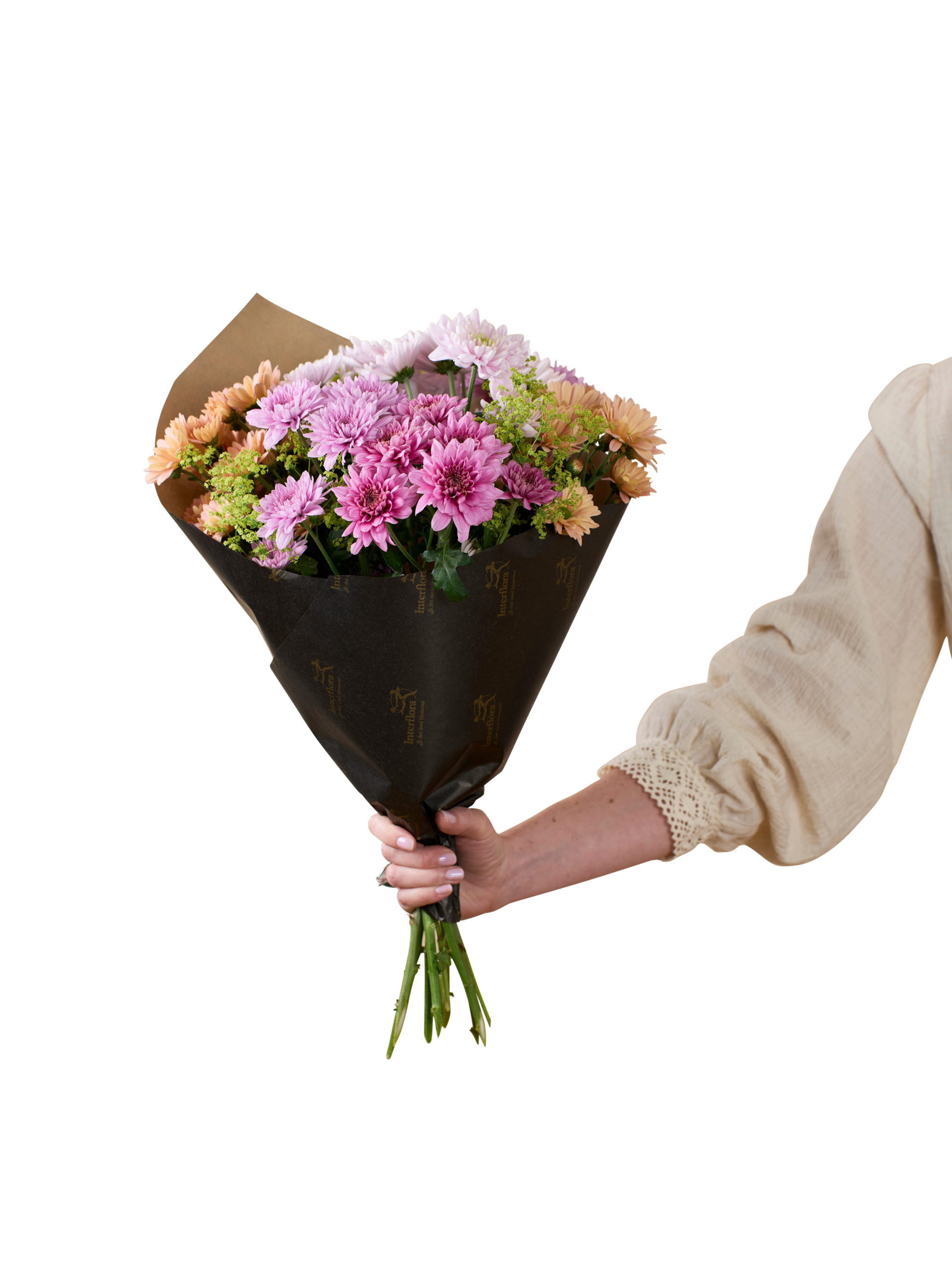 product image for Chrysanthemum 250321