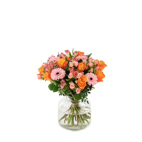 Congratulations 242606