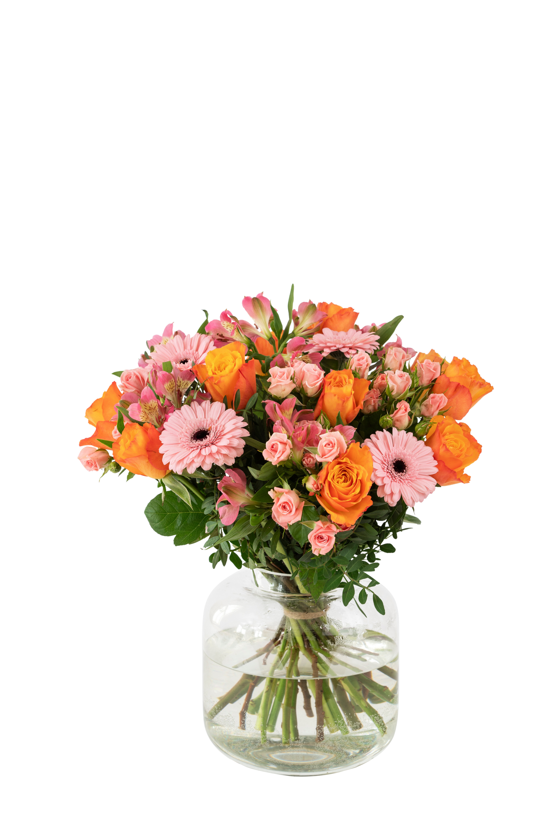 product image for Congratulations 242606