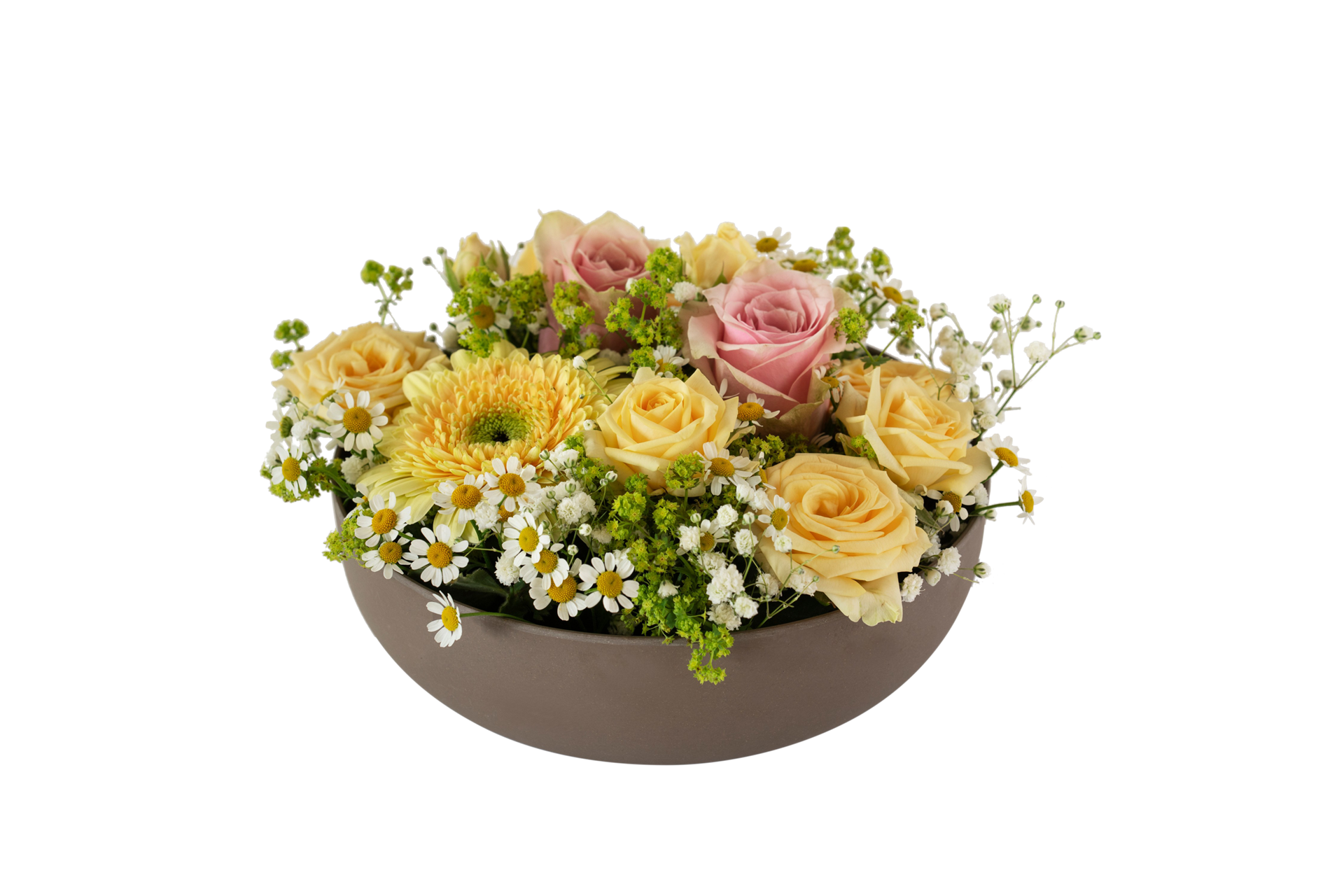 product image for Spring Bowl 250333