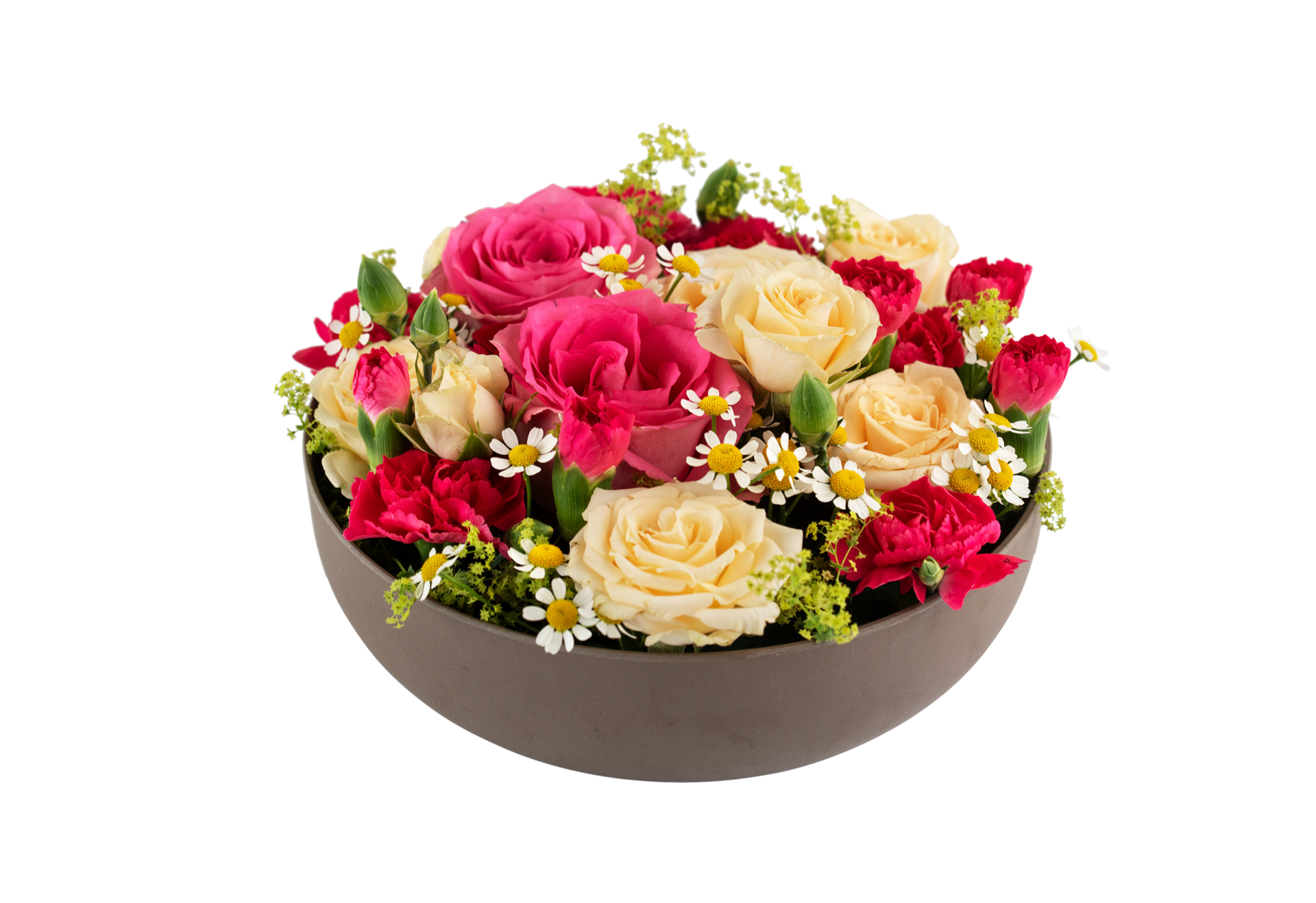 product image for Celebrate 250335