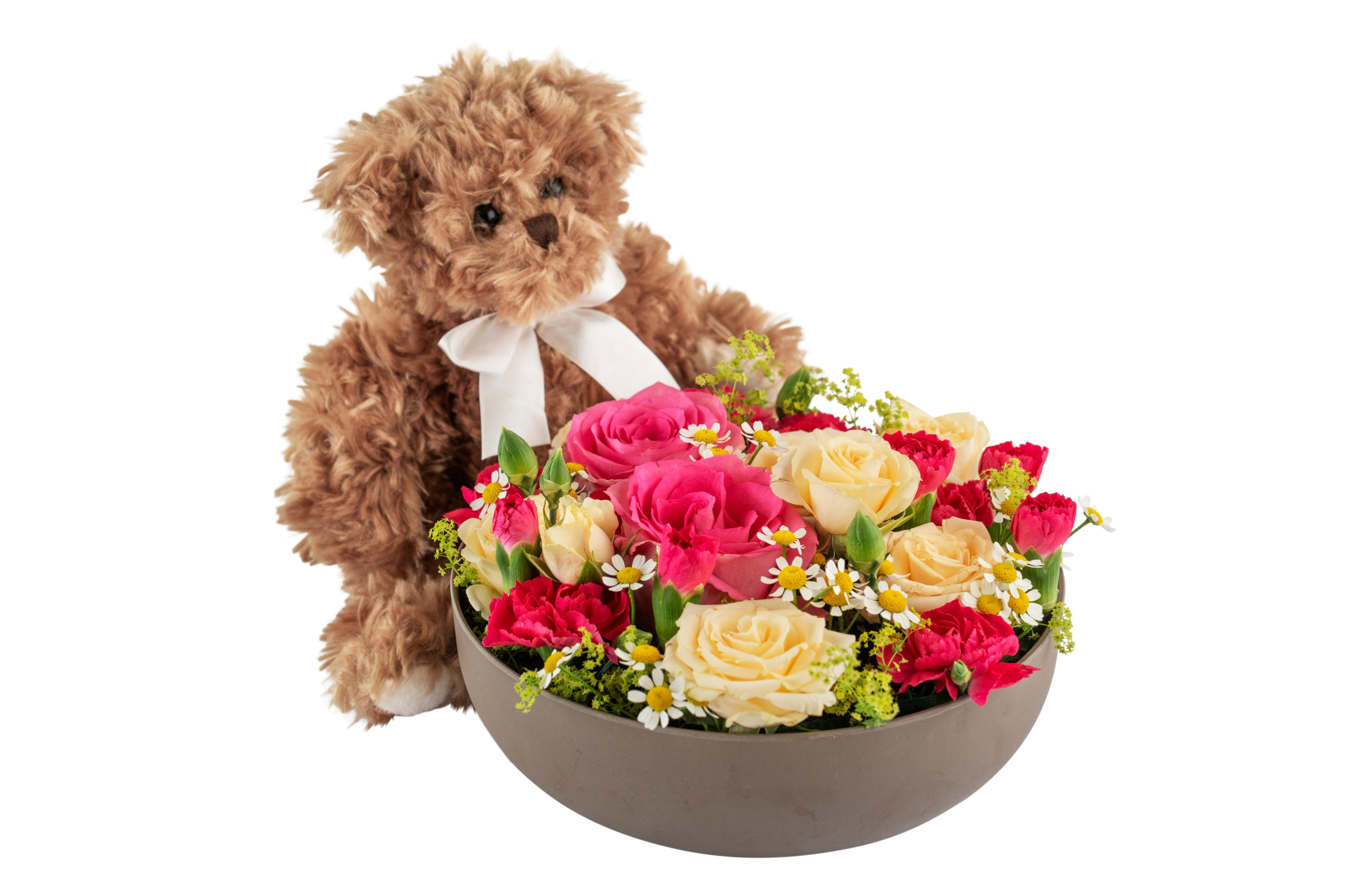 Celebrate and Teddy 250360