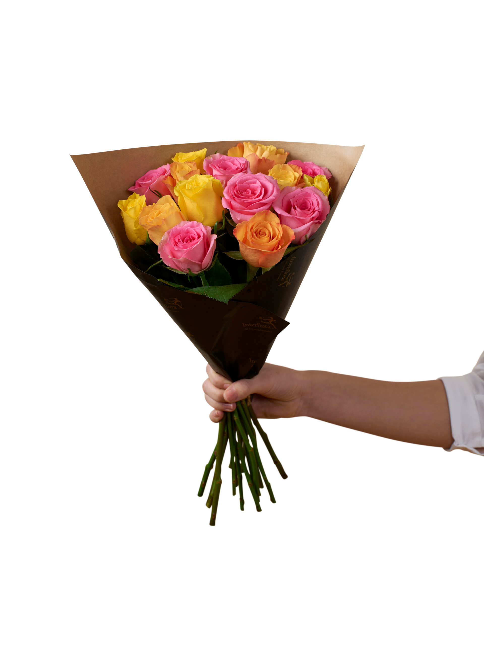 product image for Roses for spring 242625