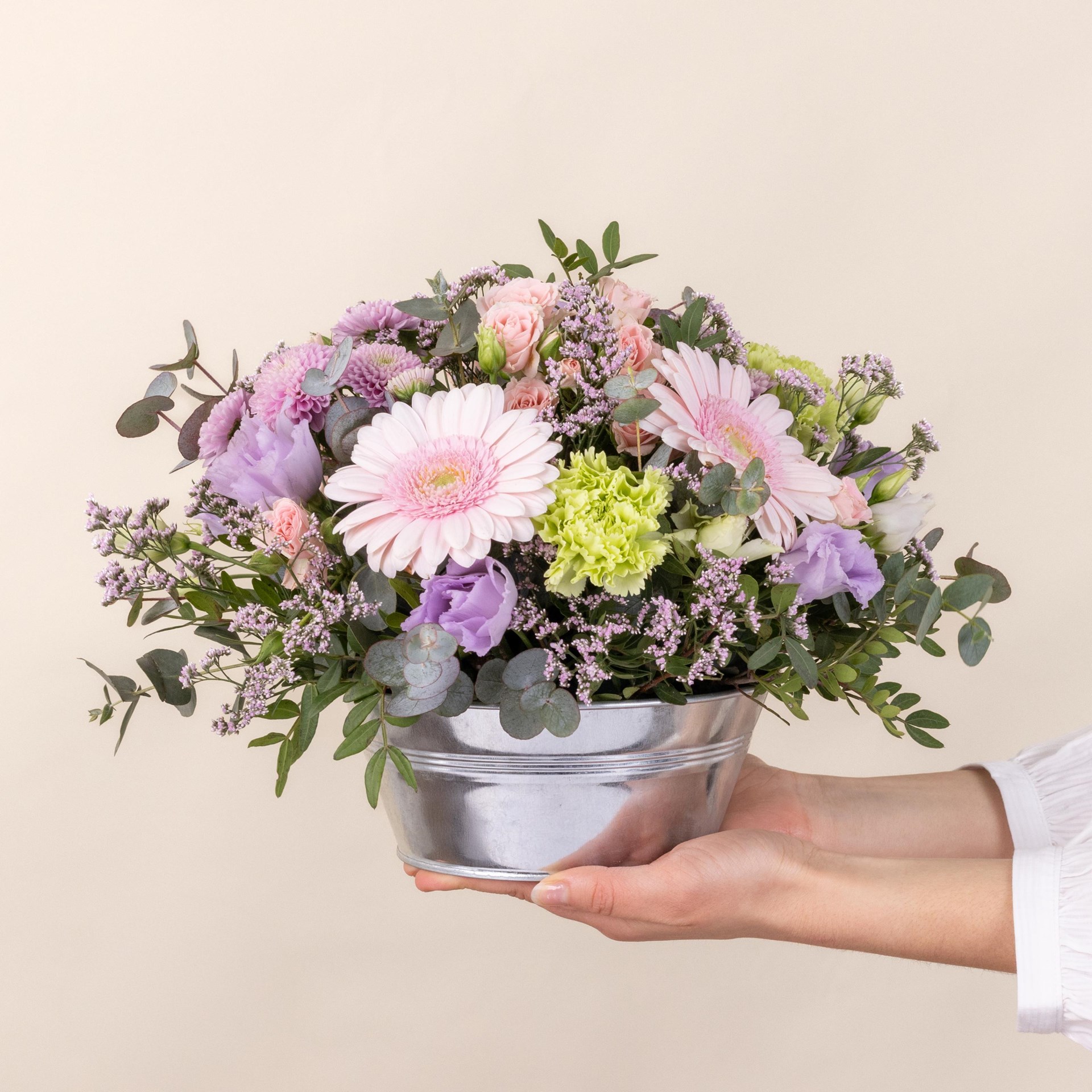Zeste tendre - Pastel bloom