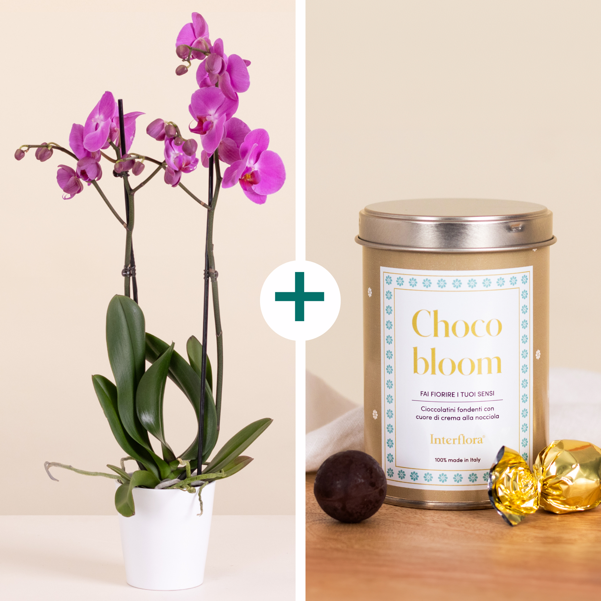 product image for Soft Embrace